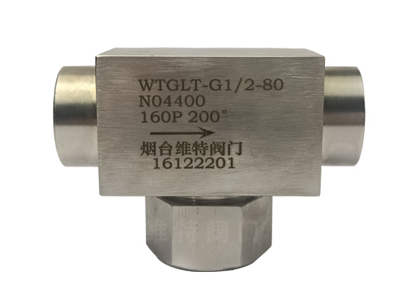 定制化工行業(yè)各種合金T型過濾器